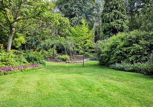 Optimiser l'expérience du jardin à Aumenancourt